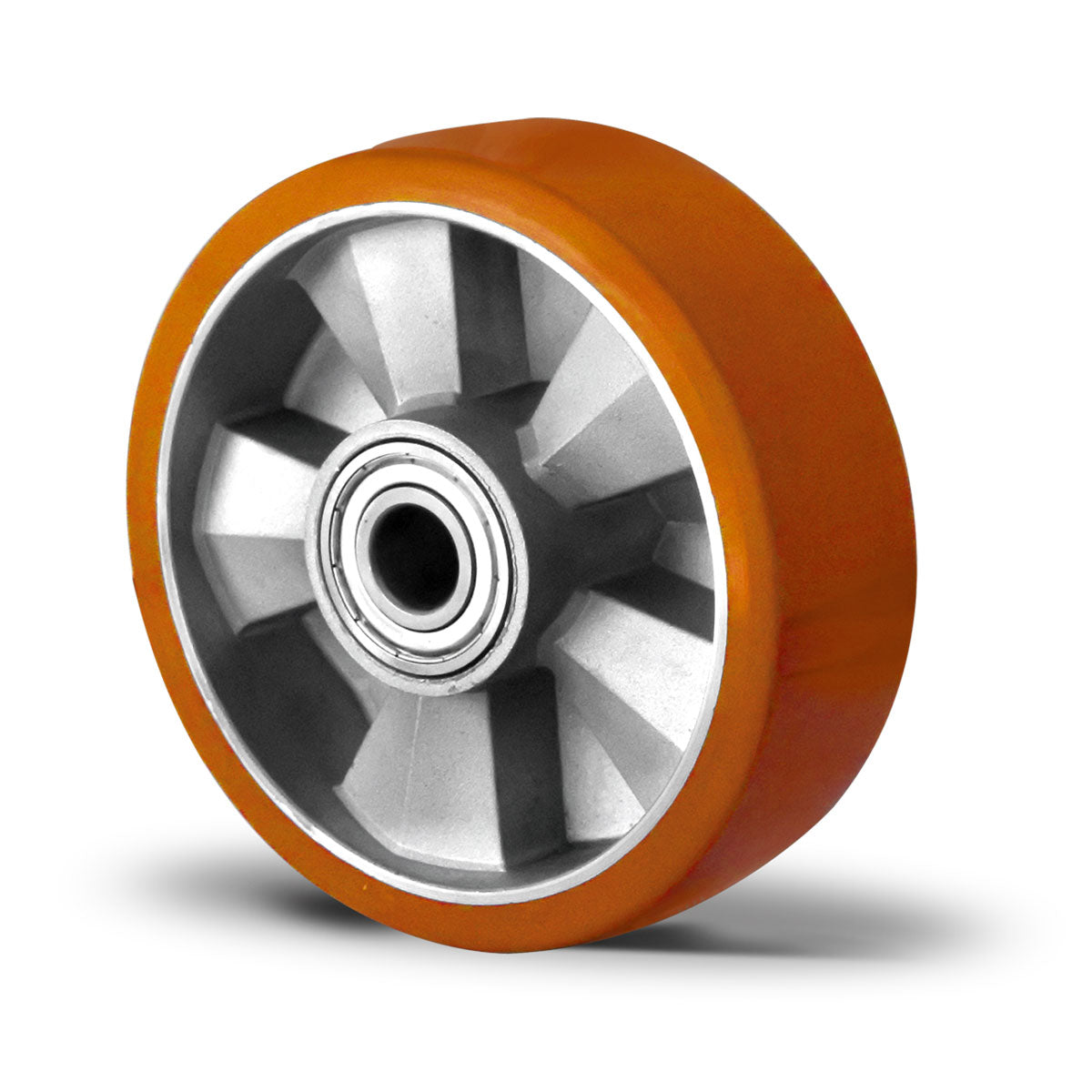 Rad ø 160 mm Serie BAU5 Doppelkugellager