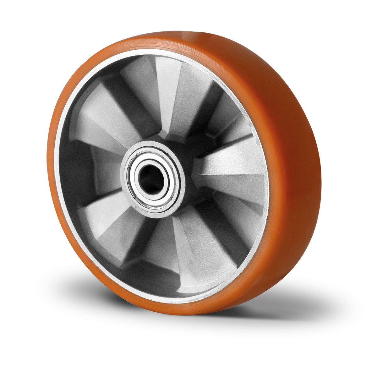 Rad ø 200 mm Serie BAU5 Doppelkugellager